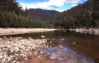 Coxs River river in Australia