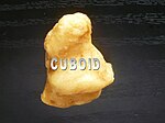 Cuboide