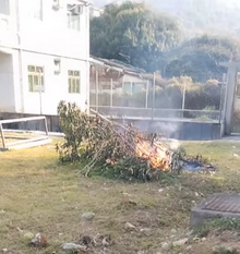 Burning of downed vegetation, or "slash". Daily open burning, Tai Po, Hong Kong.png