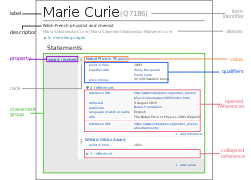 The Wikidata data model (Q16354757).