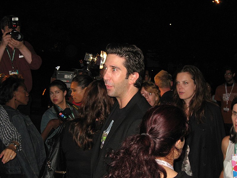 صورة:David Schwimmer (director).jpg