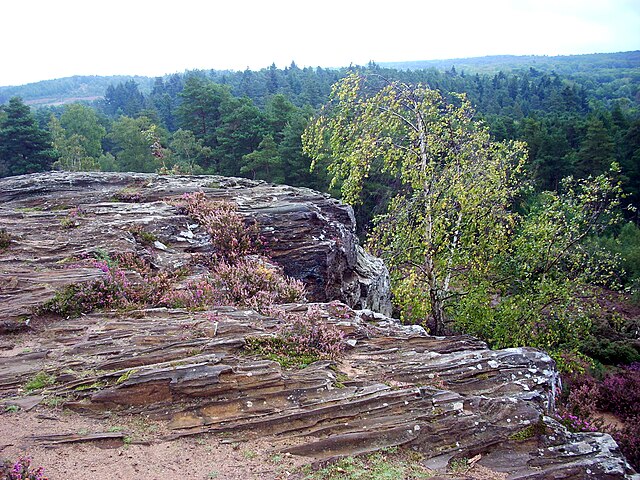 Ironstone outcrop on Stony Jump