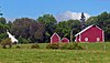 Ferme à l'aneth