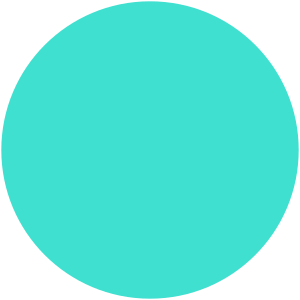 Disc Plain turquoise.svg