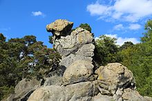 Der Felsen „Hockendes Weib“ in den Dörenther Klippen 2015