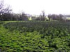 Drummuray Drummuray Townland, Ballinamallard - geograph.org.uk - 365451.jpg