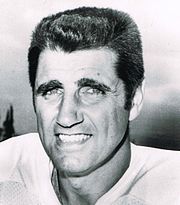 Earl Morrall QB Detroit Lions 1958-1964  Detroit lions football, Nfl  football players, Nfl detroit lions