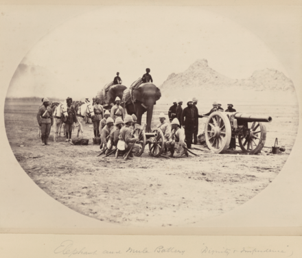 Titled "Dignity & Impudence" for stereotypic personality traits of elephants and mules respectively, this photograph by John Burke shows an elephant and mule battery during the Second Anglo-Afghan War. The mule team would have towed the small field gun, which appears to be a Rifled Muzzle Loader (RML) 7-pounder mountain gun. The elephant towed the larger gun, apparently a Rifled breech loader (RBL) 40-pounder Armstrong