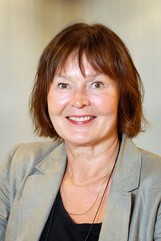 <span class="mw-page-title-main">Elina Linna</span> Swedish politician