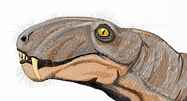 Eotitanosuchus