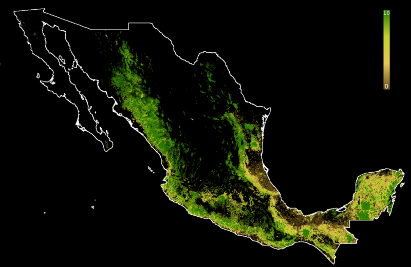 File:FLII Mexico.png