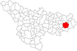 Location in Timiș County