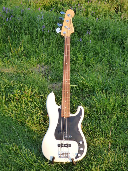 File:Fender AP P-Bass 20230801.jpg