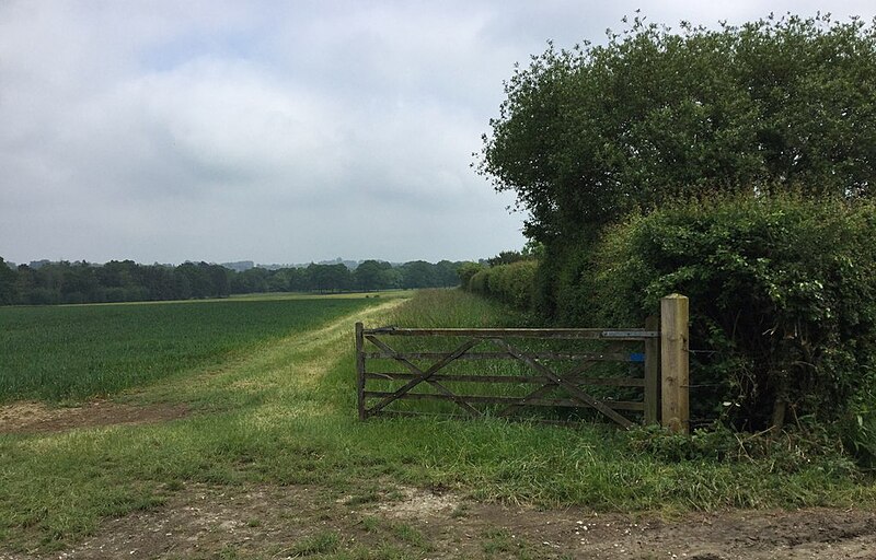 File:Field beside Bushbury Lane - geograph.org.uk - 5789362.jpg