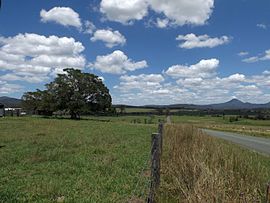 زمینه ها و جاده در Allenview ، Queensland.jpg