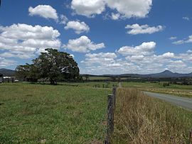 Sawah dan jalan di Allenview, Queensland.jpg