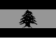 Fin Flash of Lebanon - Baja visibilidad.svg