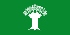 Flagge des Kreises Wesel.svg