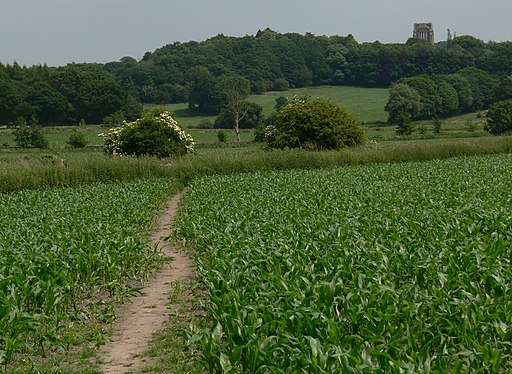 Footpath to Oaks Road - geograph.org.uk - 2105730