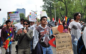 Mandlige gay-pride-marchere med skilte og regnbueflag