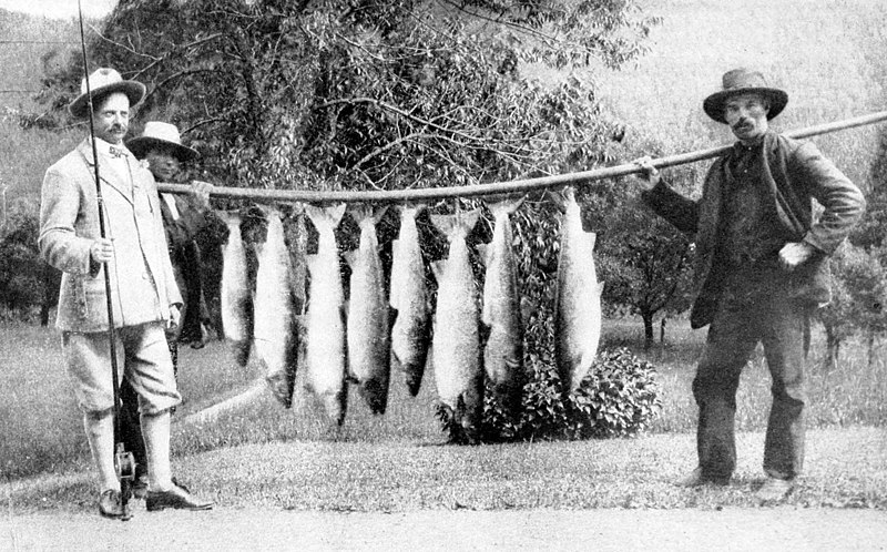 File:George v L Meyer with day's fish catch from Restigouche.jpg