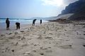 Ghost crab beach (6408208751).jpg