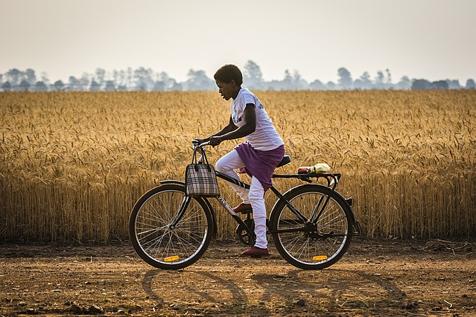1st Prize: This girl rides her bicycle on the outskirts of Lusaka, in front of a large field of grain. by User:JohannekeKroesbergen