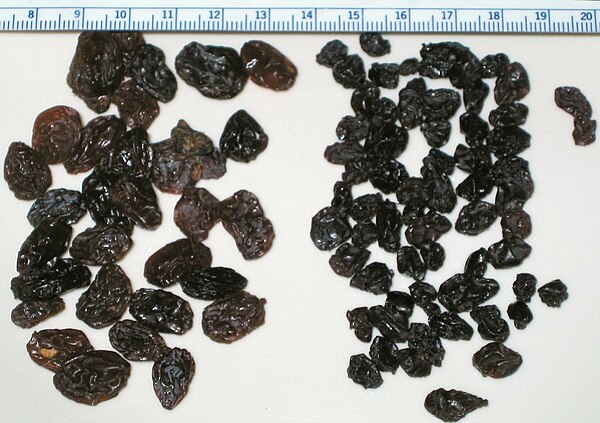 California seedless grape raisins on the left and California Zante currants on the right, along with a metric ruler for scale.