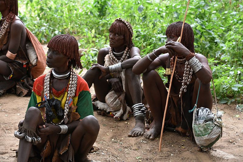 File:Hamer women attending a bull jumping ceremony (15) (29111295442).jpg