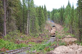 Haritonovskaya rail1.jpg