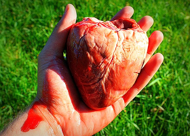 File:Love-heart-hands.jpg - Wikimedia Commons