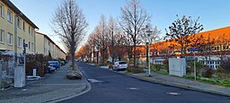 Herbert-Collum-Straße in Dresden