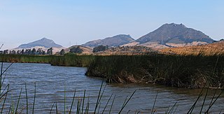 <span class="mw-page-title-main">Nine Sisters</span> Chain of volcanic mountains and hills in San Luis Obispo County, California, United States