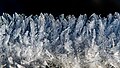 "Hoar_frost_on_a_fence_in_Tuntorp_7.jpg" by User:W.carter