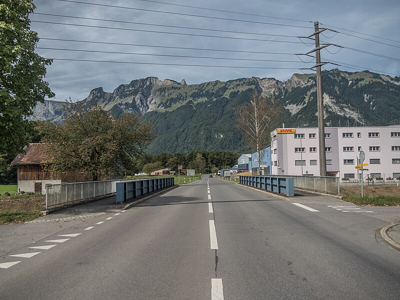 File:Hof-Brücke über den Werdenberger Binnenkanal, Sennwald SG 20230917-jag9889.jpg