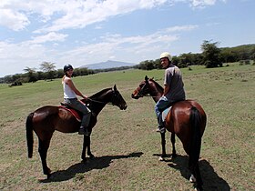 Image illustrative de l’article Cheval au Kenya