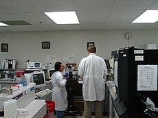 Clinical laboratory in a hospital setting with two technologists shown. Hospital Laboratory.JPG