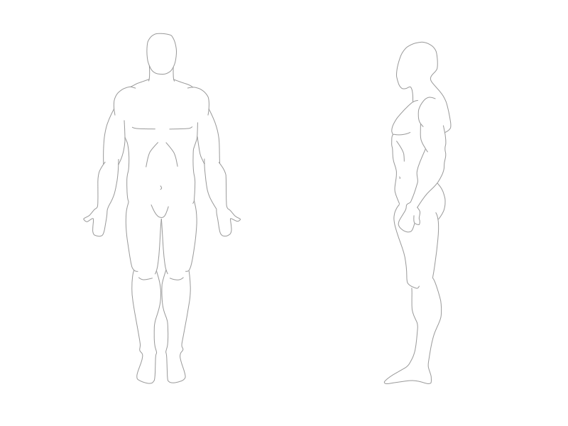 File:Human body silhouette.svg - Wikipedia