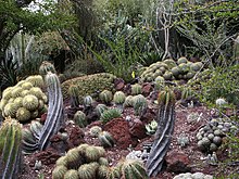 Crushed stone simulating a natural deposit at the Huntington Desert Garden, California Huntington Desert Garden, May 2009.jpg