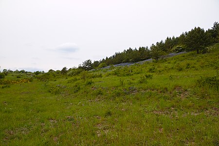 Hutelandschaft Altranft Sonnenburg 1