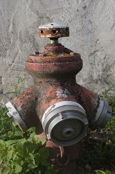 File:Hydrant 666.JPG