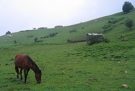 In the way of masuleh.jpg