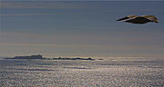 Vignette pour Phare des Îles Lobeiras