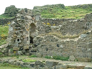 <span class="mw-page-title-main">Isle of May Priory</span>