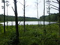 Polski: Jezioro Joninko English: Joninko lake