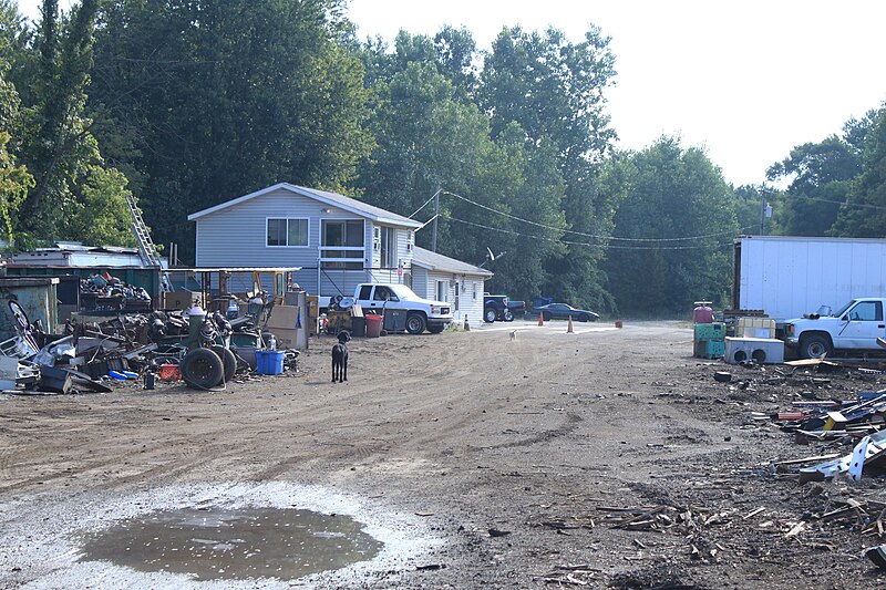 File:Junk Yard Dog in Gasper Recycling Junk Yard Willis Michigan.JPG