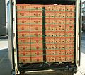 Transport of banana boxes in refrigerated containers at 13.5 °C (2006).