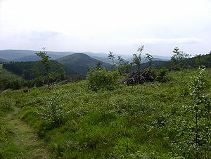 View from Kahler Asten, one of the range's highest peaks