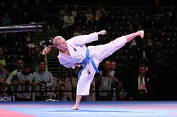 Karate WM 2014 (2) 019.JPG