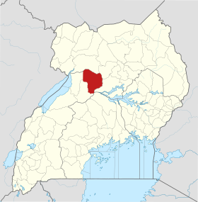 Kiryandongo (district)